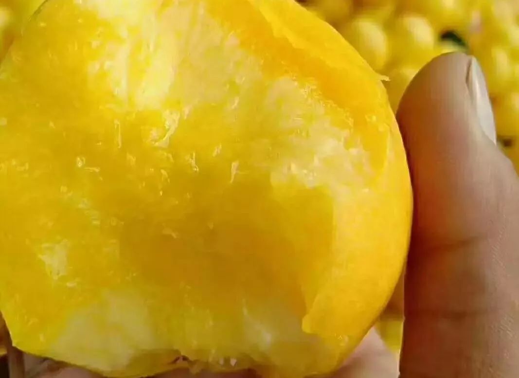 黄桃品种大全黄金黄桃,斑点脆油桃