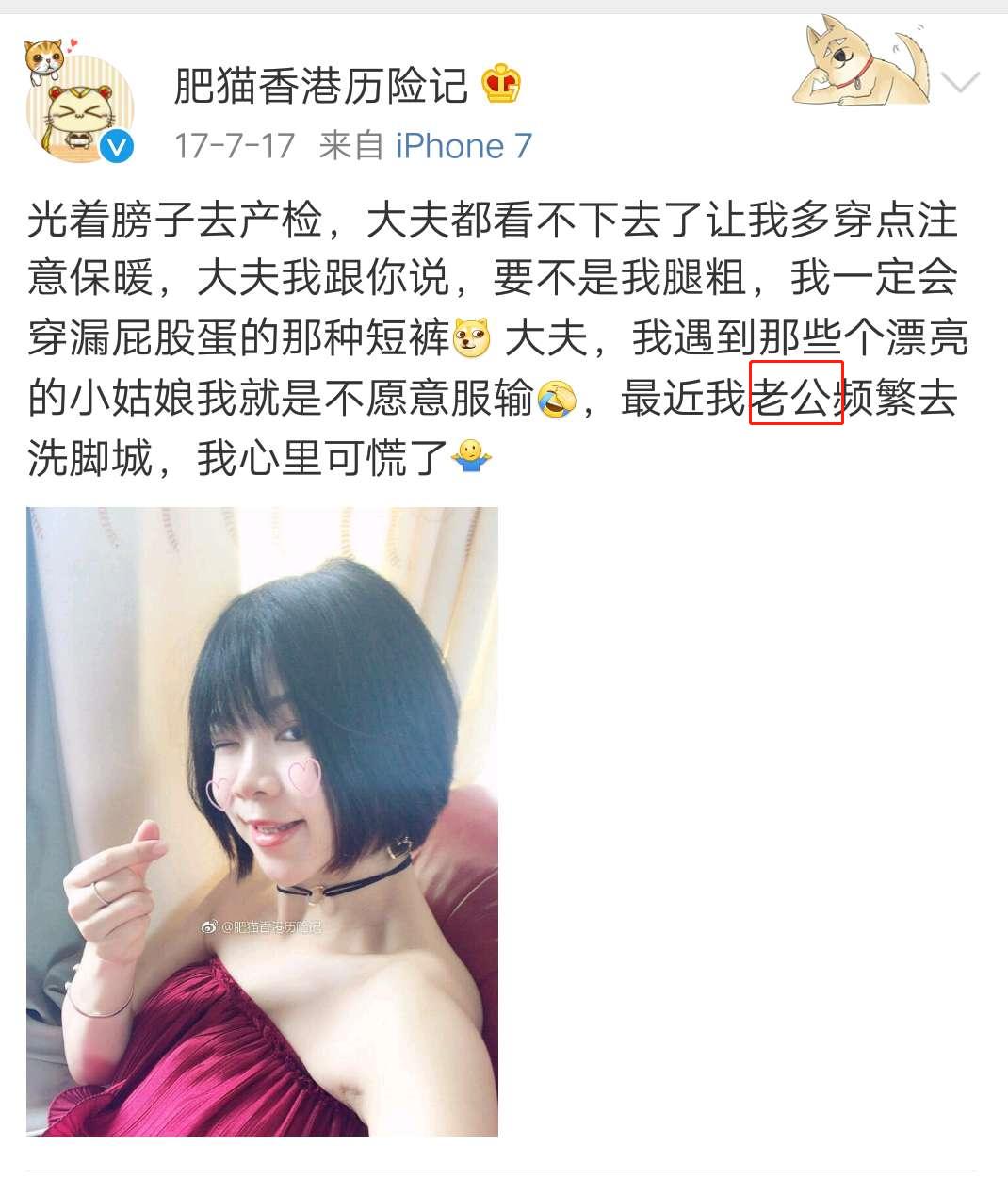 肥猫香港历险记店铺号,肥猫历险记第二部在线观看