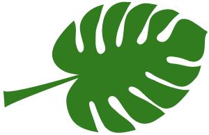 高温引起的炎症,夏季高发妇科疾病的原因