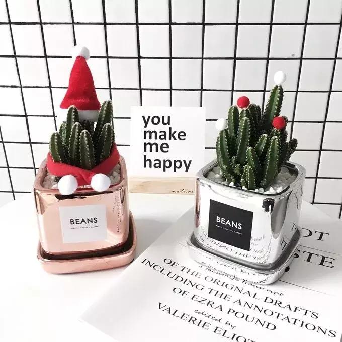 包妈好物图片,包妈母婴好物