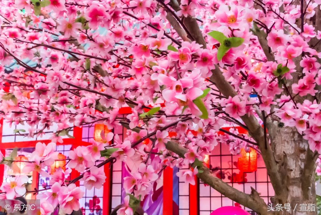 高一上学期语文月考优秀作文,高一作文八百字青春