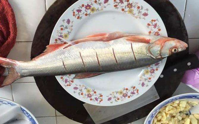 钓回来的鱼杀了但鱼眼反白能吃吗,野生鲫鱼有几片鳞片发黑能吃吗