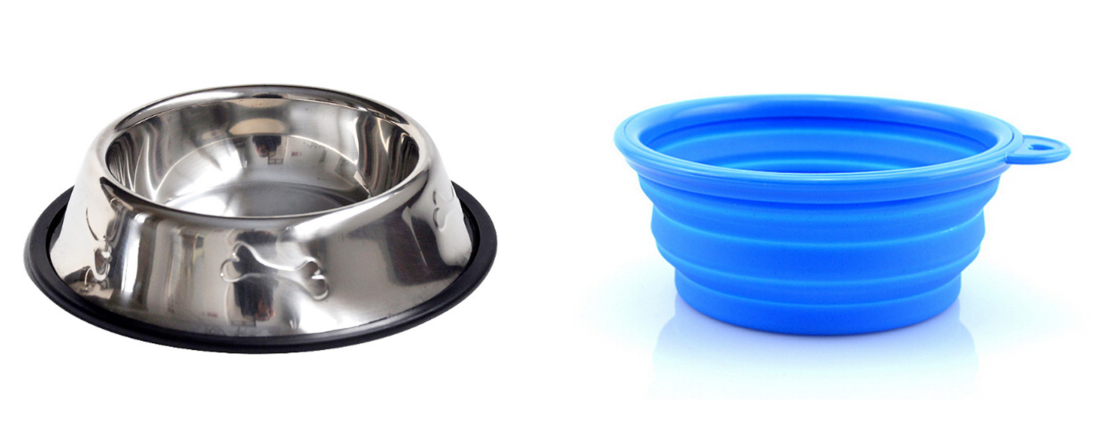 带狗狗出去遛弯需要准备什么,第一次带狗狗长途旅行