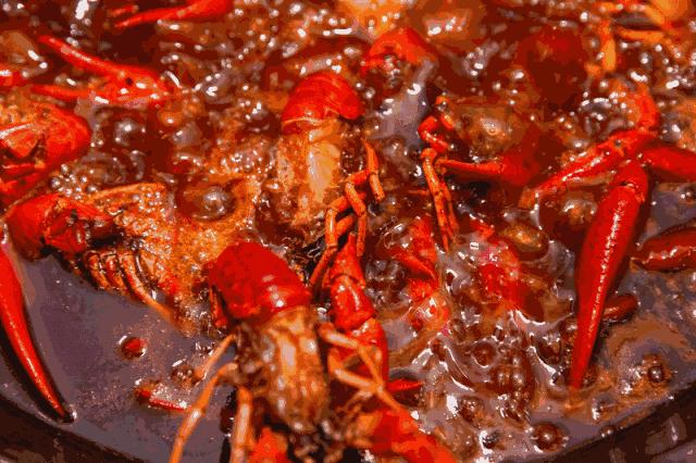 女孩脑袋上有个寄生虫,25岁女孩身体发现寄生虫