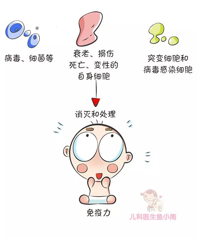 宝宝少生病的护理方法,想要宝宝免疫力好少生病该怎么做