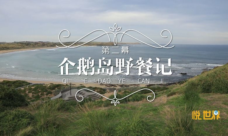 世界最宜居100大城市,悦世界整装