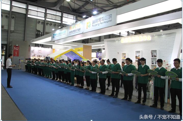 宠物医院良心诊疗在哪里,最近的宠物诊所在哪里