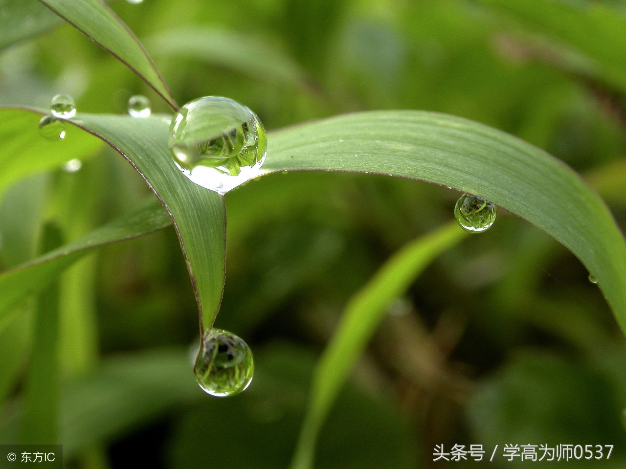 二年级语文课外阅读练习题训练暑假拓展训练