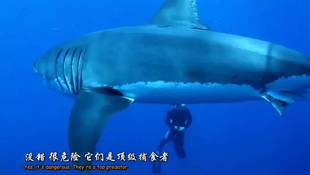 如果没有这部9.6，血腥猎奇的电影还要骗我们多久？