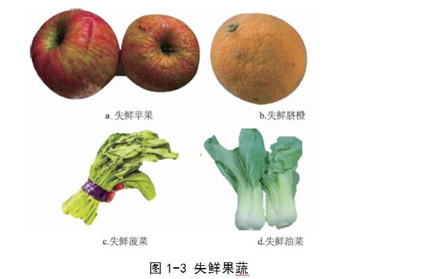 「系列科普读物-果蔬贮藏保鲜技术与设施问答」保鲜特性30问