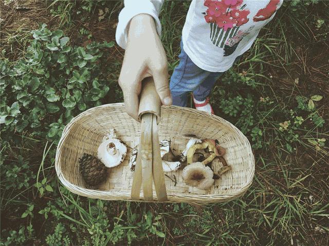 舌尖上的美味美国,有好多舌尖上的美食