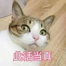 nike的老球鞋,nike的老爹鞋怎么样