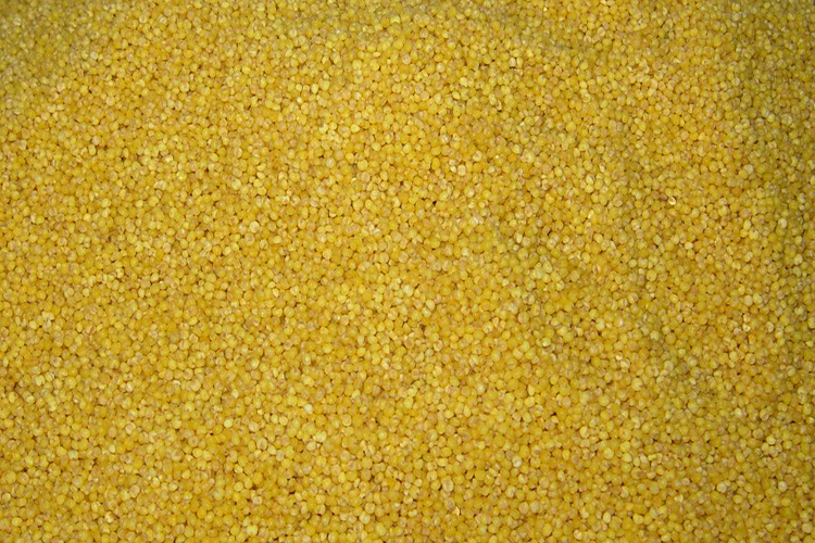 野钓酒米配方,野钓爆护的酒米配方