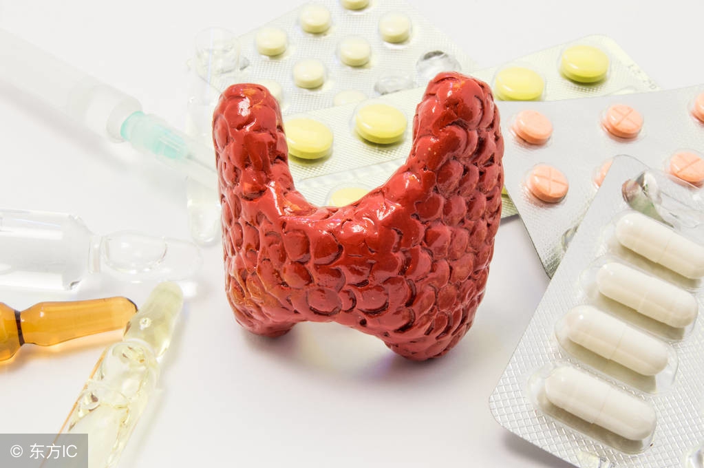 身体消瘦跟甲状腺没关系,总是犯困当心患上甲状腺疾病