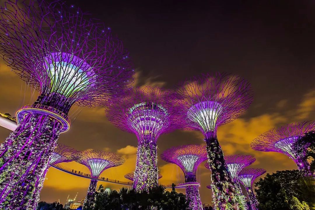 有一种浪漫叫去厦门,有一种浪漫叫跟你一起去大理
