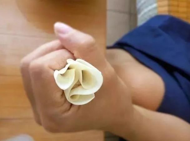 十种最漂亮的云吞包法,云吞包法视频12种包法