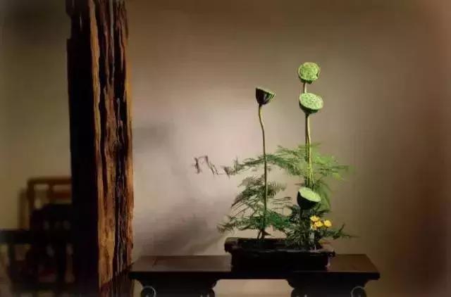 四书五经必背80条名句,四书五经的经典词句