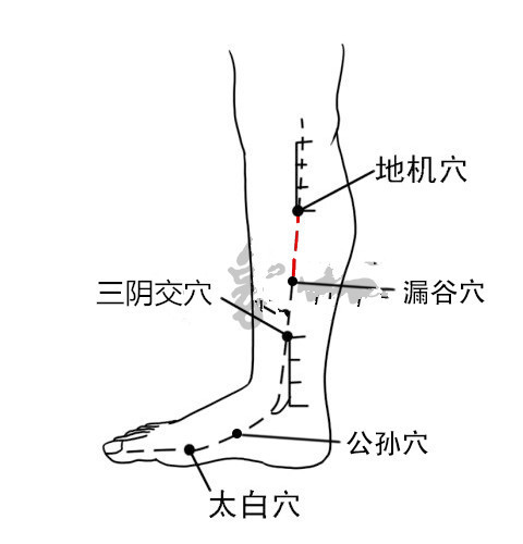 全身48个容易瘀堵的点,身体瘀堵拍打哪些穴位