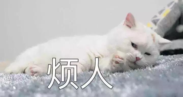 自从迷上*戏调**某宝客服后,我不会说话的毛病就被治好了