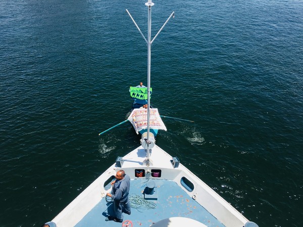 年少时的梦原文朗读,年幼时的梦