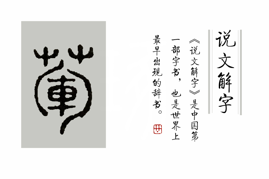 说文解字第263讲,说文解字第56课