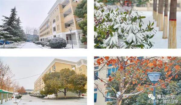 中国科学院合作的学校！郑州初中名校系列：郑中国际学校