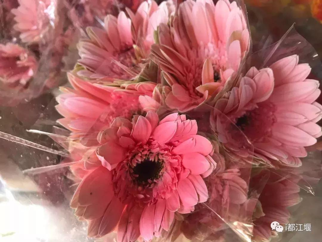 七夕惊喜仪式感,七夕最值得准备的仪式感