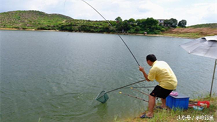 黄颡的垂钓技巧,夜钓黄颡如何增加鱼获