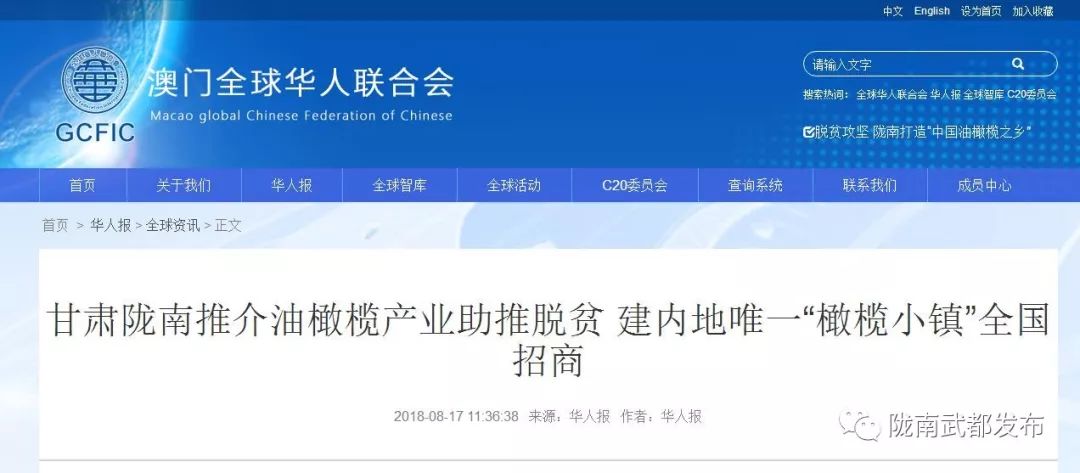 今生广种橄榄树，来世还做陇南人！