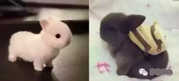 大一新生军训如何轻松一些,高一新生军训姿势要领