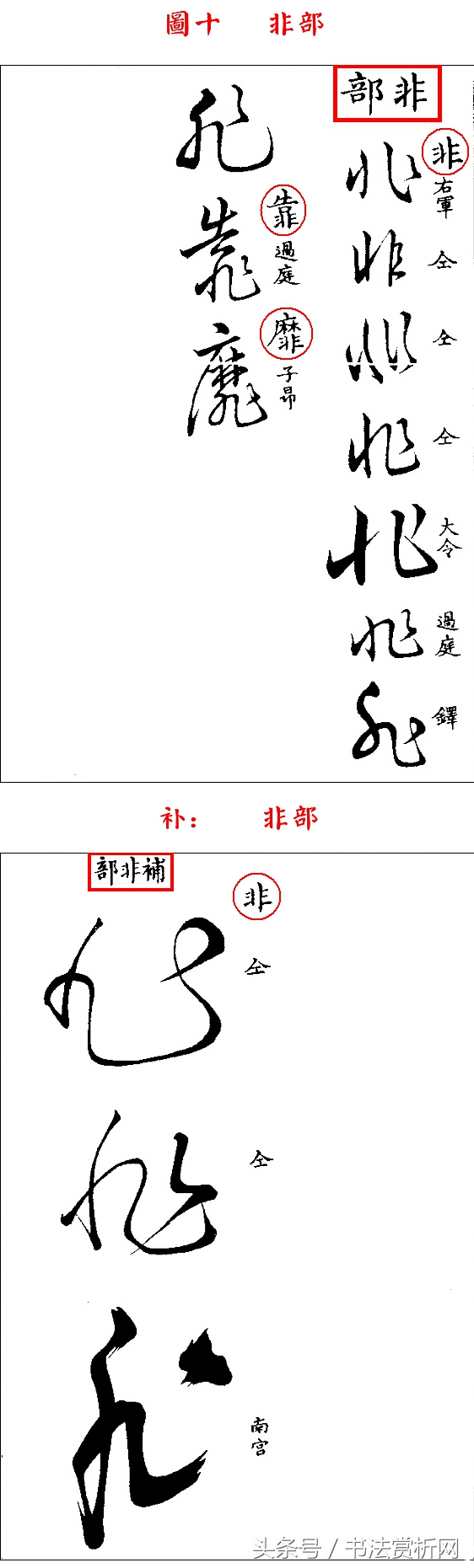 书法欣赏草书名家作品赏析,历代草书名家草体总汇之六