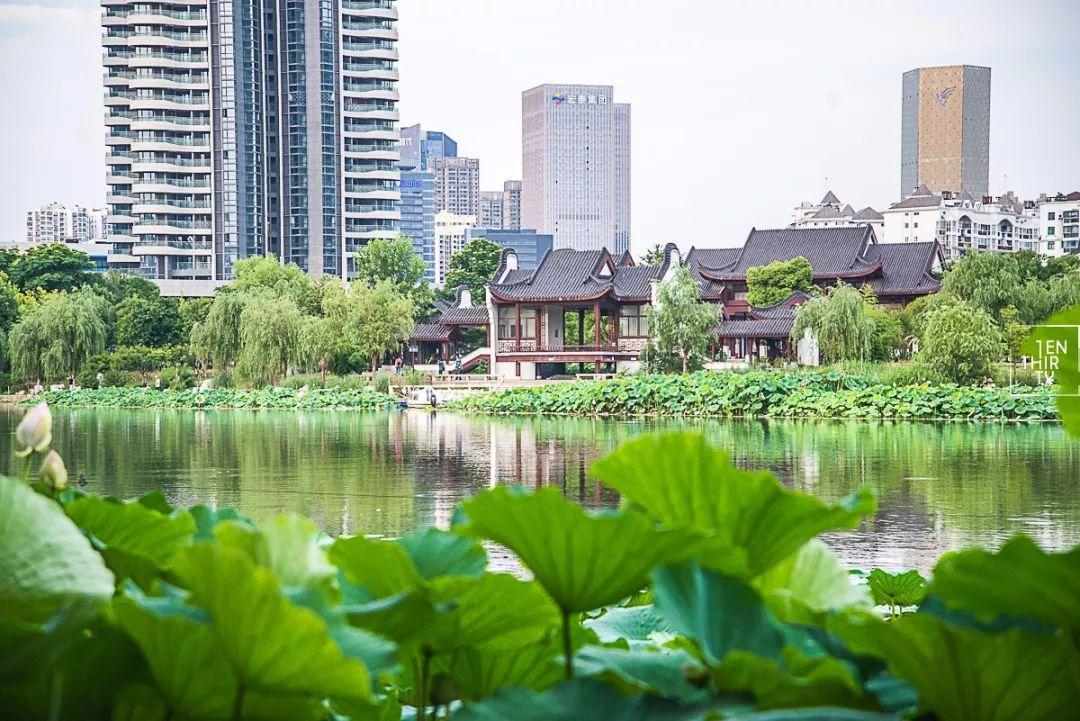 武汉一日游必去十大免费景点,武汉周边免费一日游自驾哪里好玩