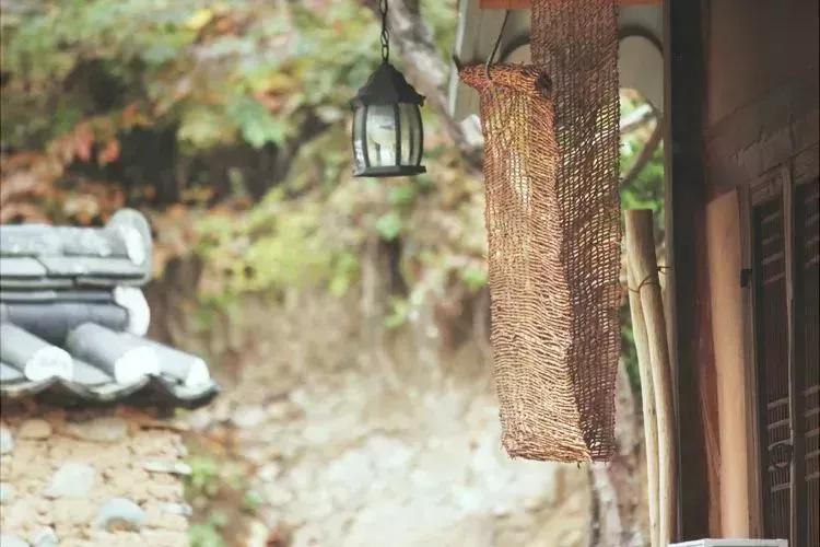 淮南经典名言名句,淮南出自哪一句诗