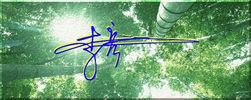 051期：目前已经制作了一千三百多个姓名大家找一下