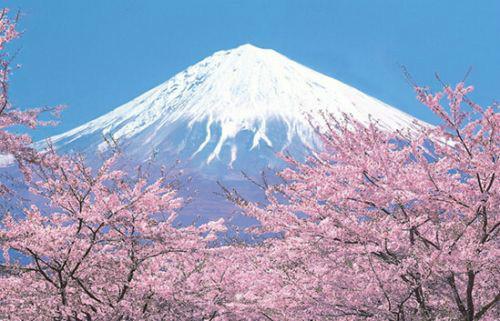 海外房产投资的条件是什么,海外房产购买风险有哪些