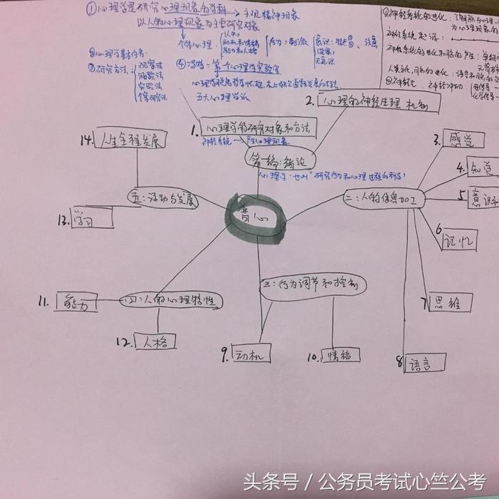 pte考试如何通过自学获取高分,小学生如何考试得高分