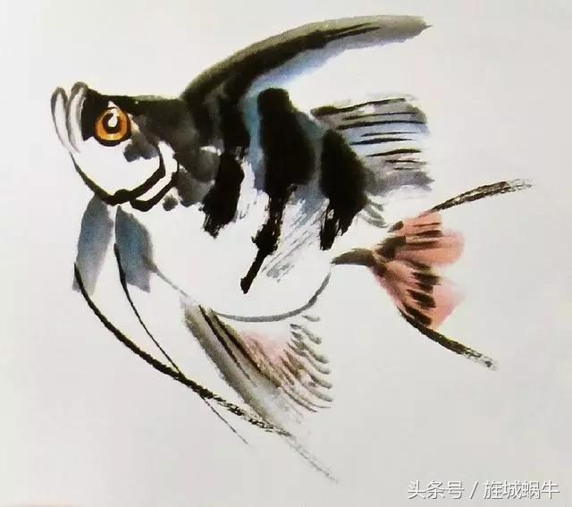 国画锦鲤鱼的画法与调色,国画写意神仙鱼100图欣赏