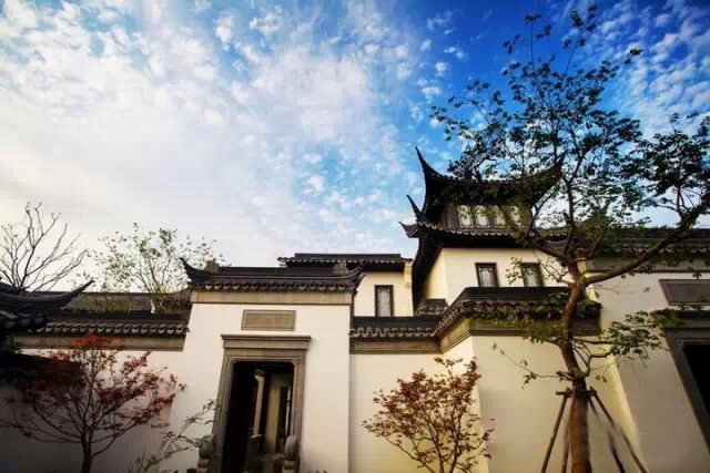 城市森林里的清新,城市山林