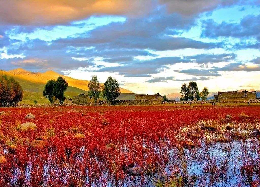 成都四姑娘山稻城亚丁路线,成都出发四姑娘山稻城旅游攻略