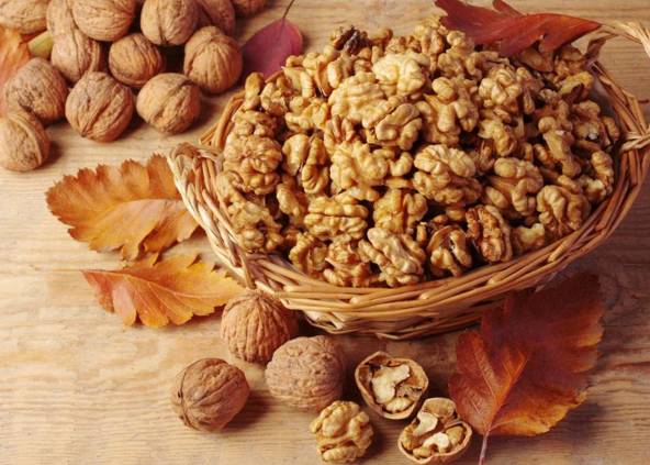 农村小型厂致富商机,农村商机加盟项目