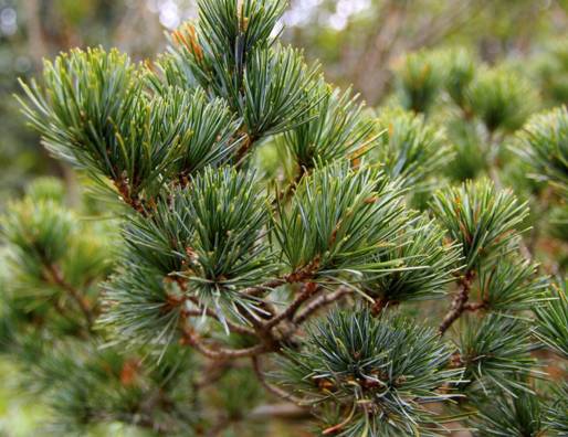 农村小型厂致富商机,农村商机加盟项目