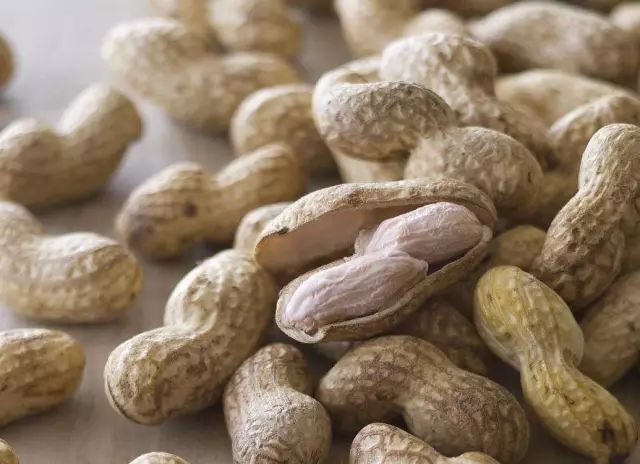 农村小型厂致富商机,农村商机加盟项目