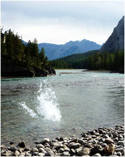 手机ai抠图与ps抠图,ps抠图后怎么放到另一张图片上