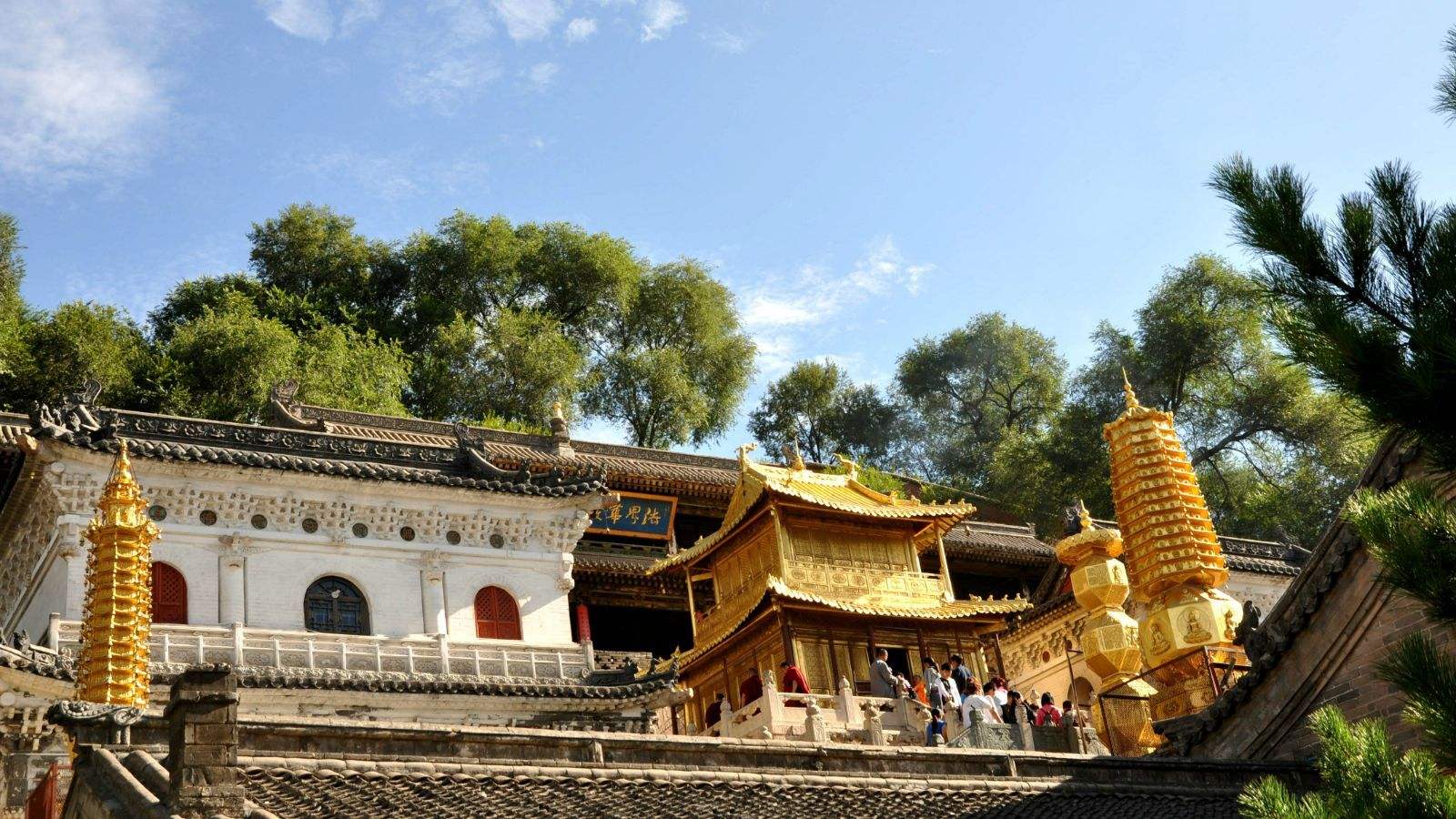 五台山比较好的寺院,五台山十大寺院