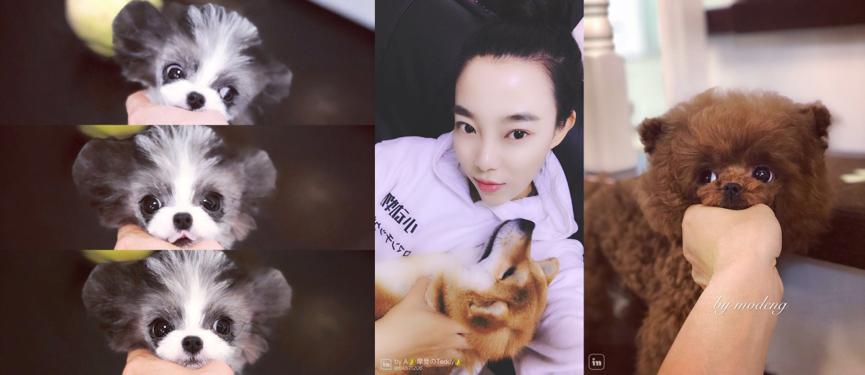 00后女大学生开宠物店月入过万,85后美女开店