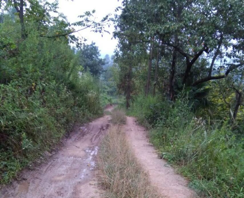 最近老是有创业想法,乡里办厂有什么扶持