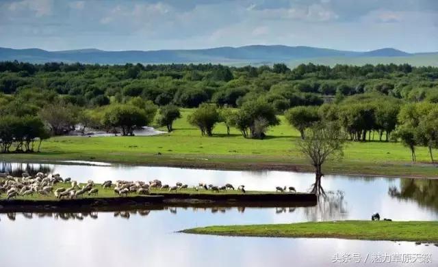 一座去了不想走的城市成都,一座去了还想去的城
