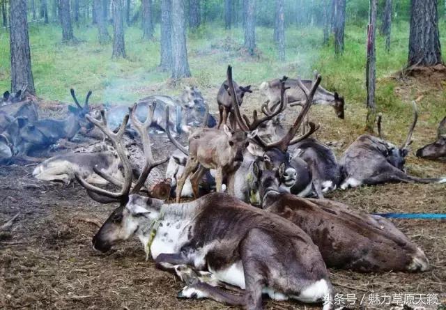 一座去了不想走的城市成都,一座去了还想去的城