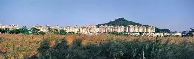 新时代十年来某些领域的成就,新时代十年来发展成就