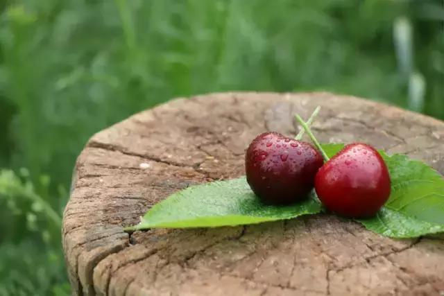 坚守20年的经营模式,坚守乡村20年